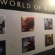 Image for article titled TwitchCon Has Some Amazing World Of Warcraft Paintings